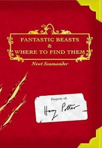 Kitabın orijinal görünmesi adına sanki siz Harry Potter'mışsınız da bu sizin ders kitabınızmış gibi isim bile yazmışlar. Pes